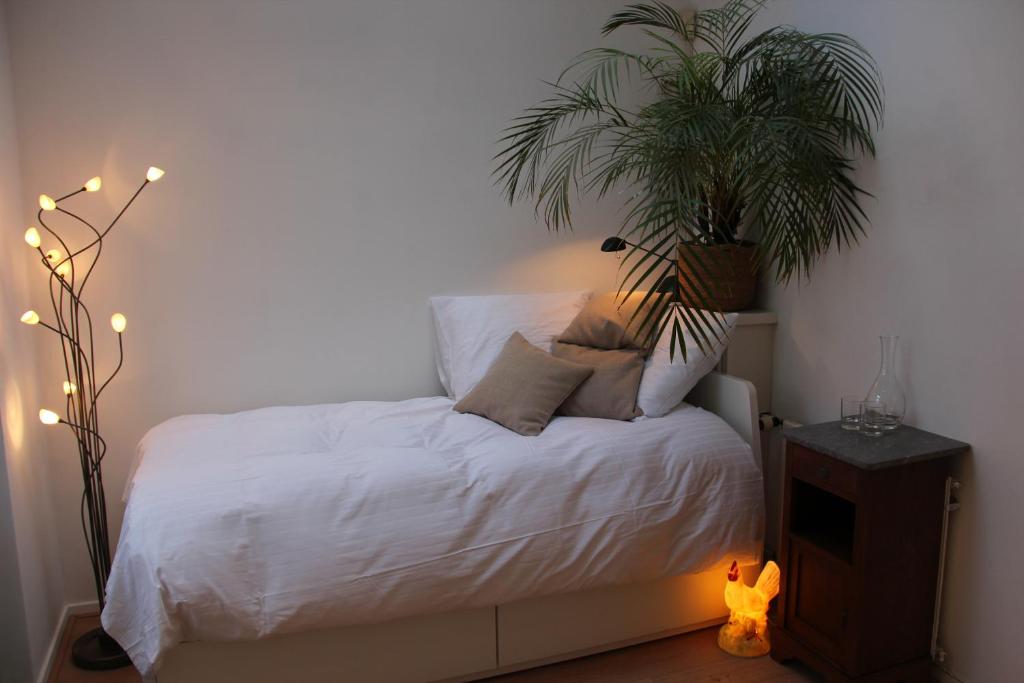 B&B de Dorpsdokter room 4